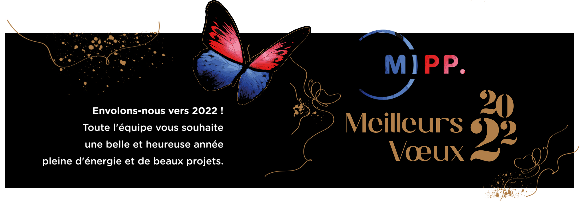 voeux mipp 2022